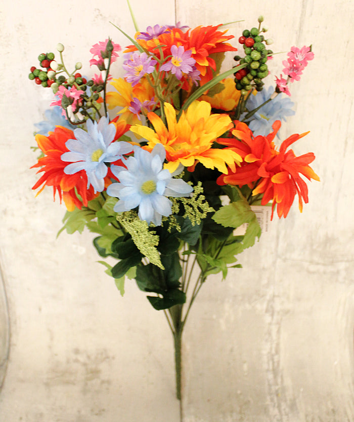 21" Yellow & Orange Mixed Gerber Daisy Bush