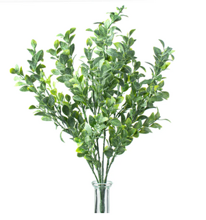 17" Tea Leaf Bush