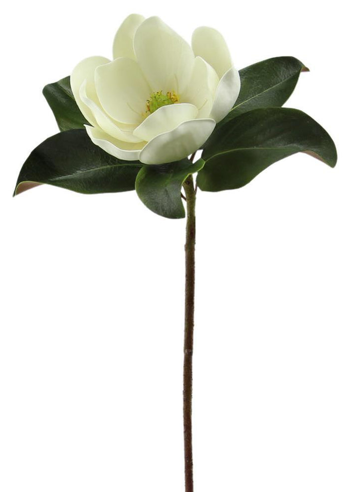 25" Single Magnolia Stem