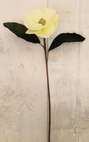 25" Cream Magnolia Spray