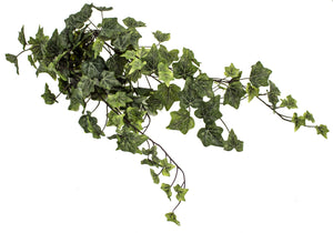 28" Two-tone English Ivy Hanger Bush