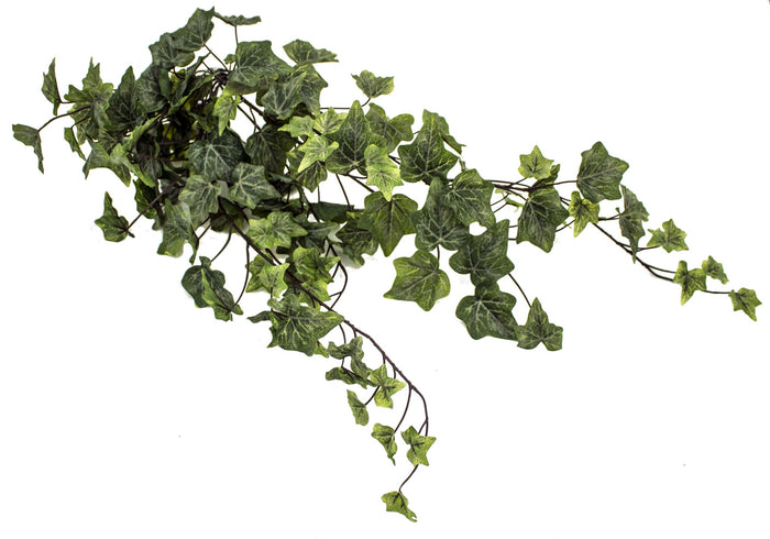 28" Two-tone English Ivy Hanger Bush