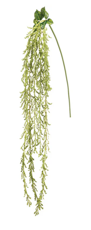 5' Green Amaranthus Hanging Spray