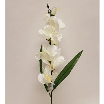 White Gladiolus Spring Floral Stem