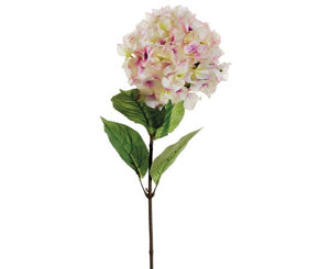 29" Cream & Light Pink Hydrangea Stem